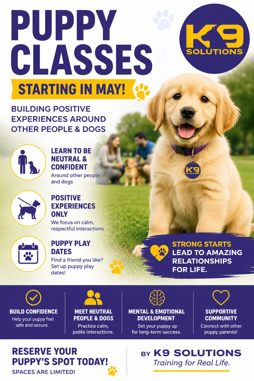 Dog Training Course