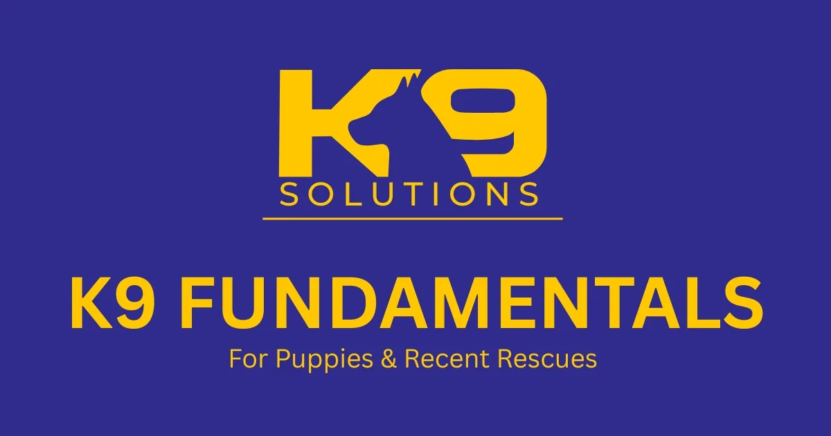 K9 FUNDAMENTALS